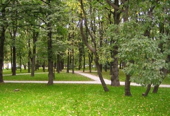 Большой и Малый Петровские парки