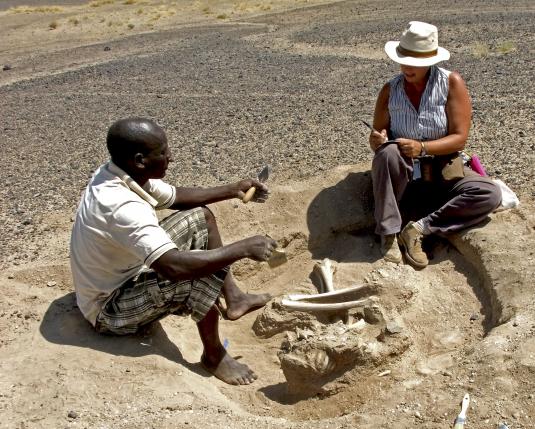 Новости археологии: следы древней войны в Кении