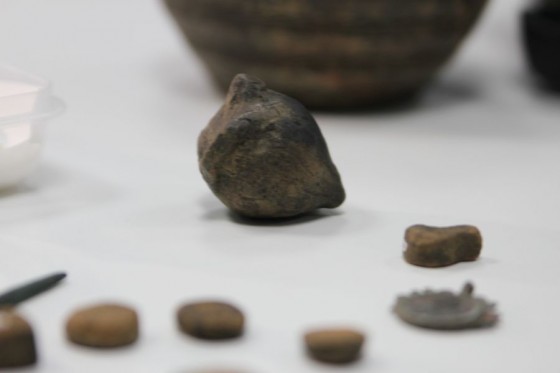 Новости археологии: В Сибири была найдена древняя погремушка